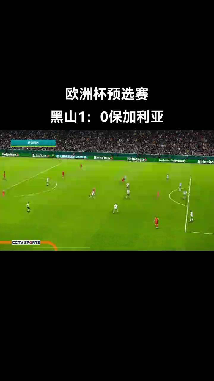 土耳其-胜保加利亚，欧洲杯小组赛晋级同时险胜的简单介绍